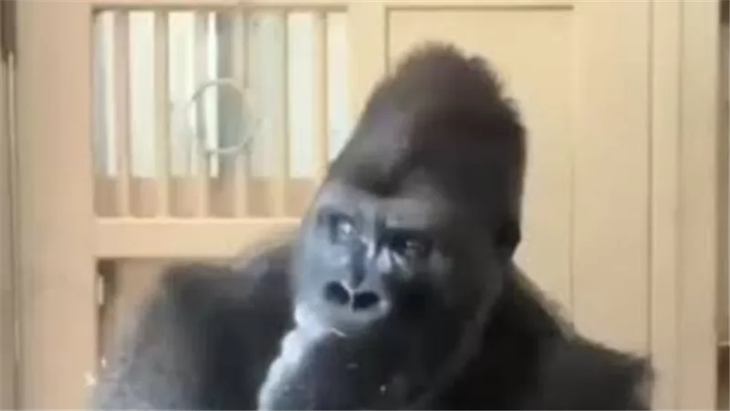 بعد 