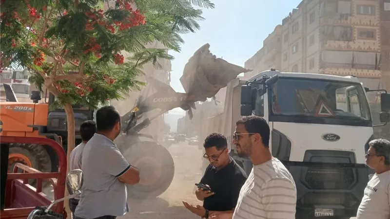 استجابة لشكوى مواطن بمدينة الكوثر.. حي عتاقة بالسويس يزيل عشش طيور مخالفة