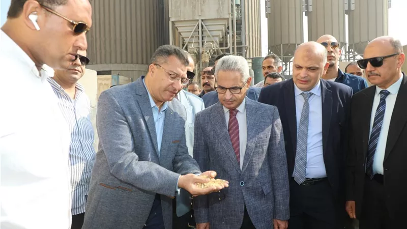 خيرات بلدنا ..أكثر من 338  ألف طن قمح بصوامع بنى سويف منذ بدء الموسم 