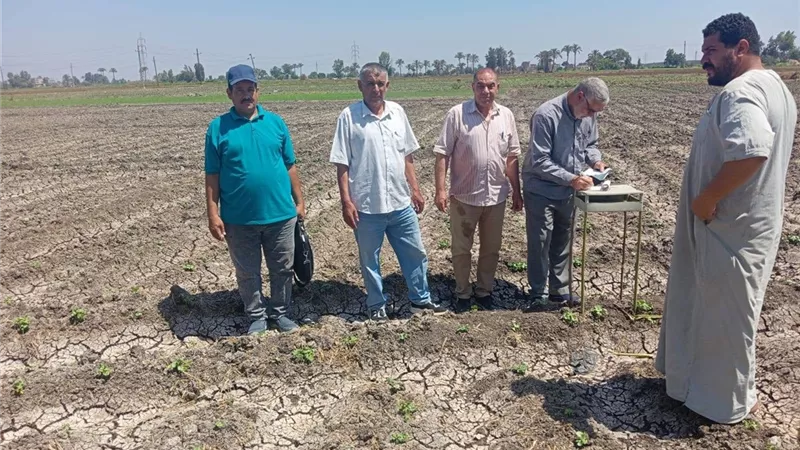 زراعة الشرقية: متابعة ميدانية وندوات إرشادية لرفع كفاءة الخدمات الزراعية