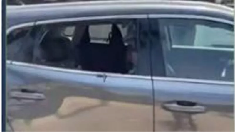 التحقيق مع عاطل متهم بتحطيم زجاج سيارة طالب وسرقة حقيبة من داخلها بالجيزة