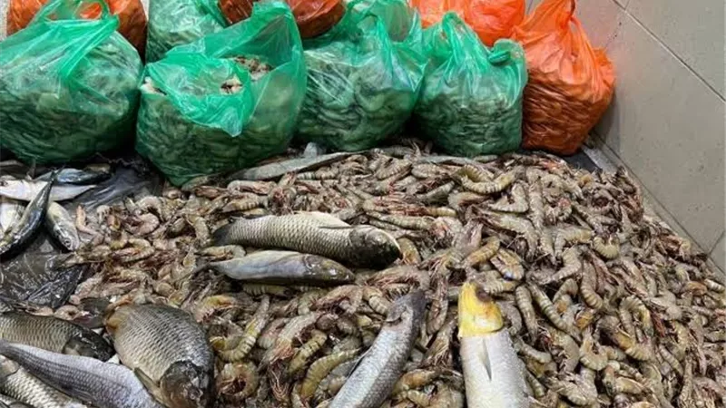 ضبط طن ونصف أسماك فاسدة ولحوم ودواجن مجهولة المصدر في كفر الشيخ
