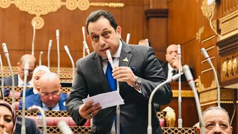 محمد الجندي: غياب معايير موحدة للجودة يضعف قدرة المنتج المصري على المنافسة 