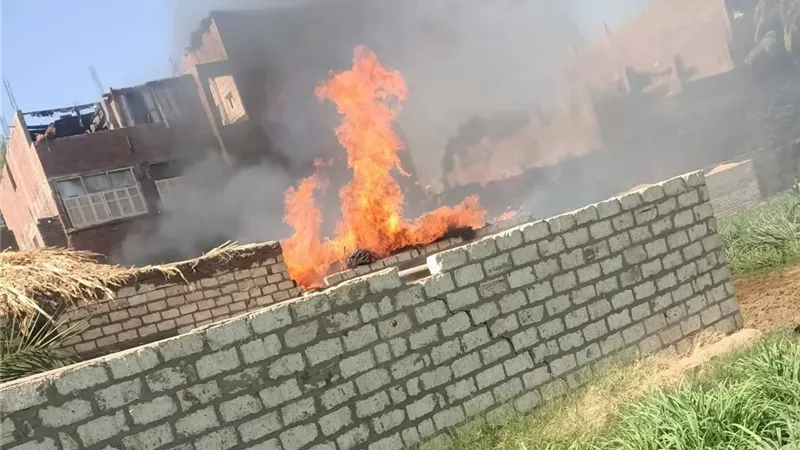 نفوق رؤوس ماشية إثر اندلاع حريق بحوش مواشى وشونة تبن بسوالم أبنوب