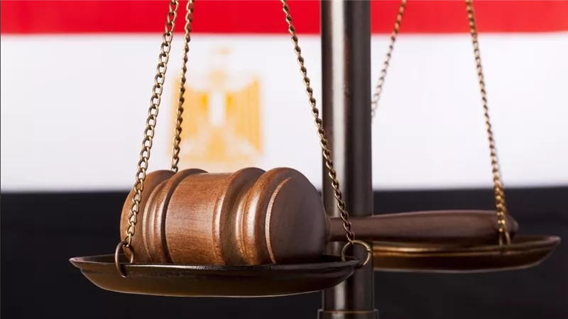بسبب ملابس متسخة.. محاكمة المتهم بقتل ابنة زوجته بمدينة بدر 22 يونيو ببدر