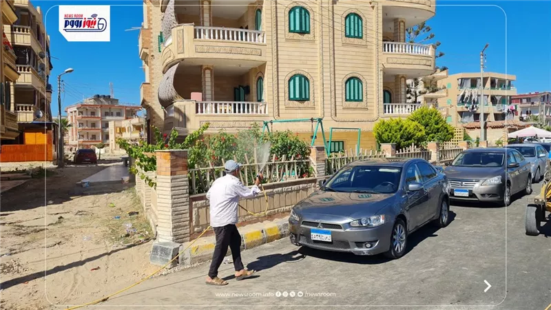 حملات مكثفة لمكافحة البعوض والحشرات الطائرة بمصيف بلطيم في كفر الشيخ