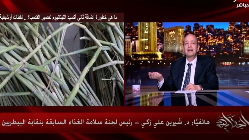 أزمة «حلقة الكلاب» تتصاعد على الهواء.. جدل بين عمرو أديب ونقابة البيطريين
