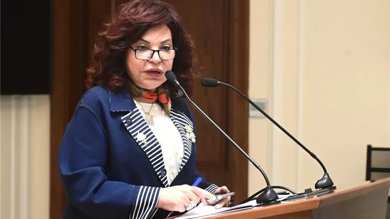 آمال عبد الحميد: خطة النواب تحسم تعديلات الضريبة على الدخل الأسبوع المقبل
