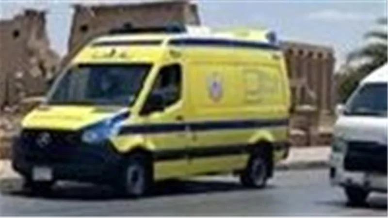 أثناء عبوره شريط السكة الحديد.. مصرع شخص صدمه قطار بإسنا جنوب محافظة الأقصر 