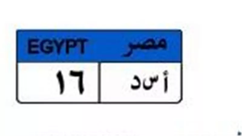بـ750 ألف جنيه.. صراع بين 4 مزايدين على لوحة السيارة «أسد 16»