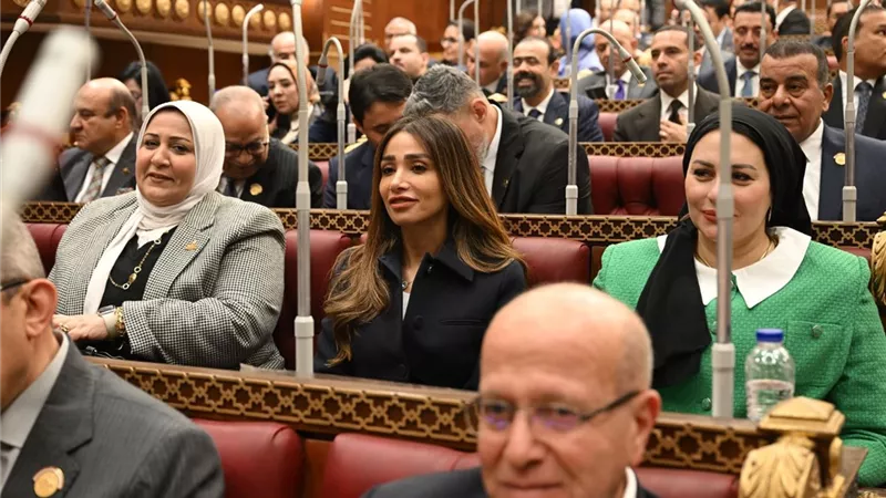 إنجي نصيف: دعوة مصر لقمة السبع اعتراف دولي بمكانتها وثقلها الاستراتيجي