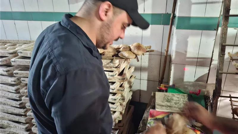 محافظ الغربية يتابع نتائج الحملات التموينية وسلامة الغذاء بطنطا