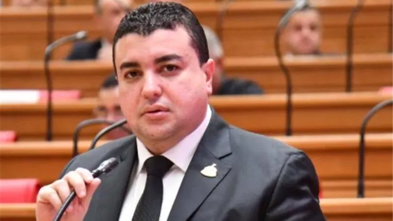  شادي الكومي: انضمام مصرلاتفاقية التجارة التفصيلية يصب في مصلحة الدولة المصري