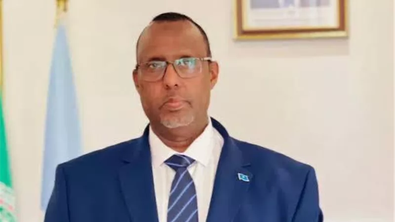 السفير الصومالي: لا نقبل أي تحركات أحادية تستهدف وحدة أراضينا
