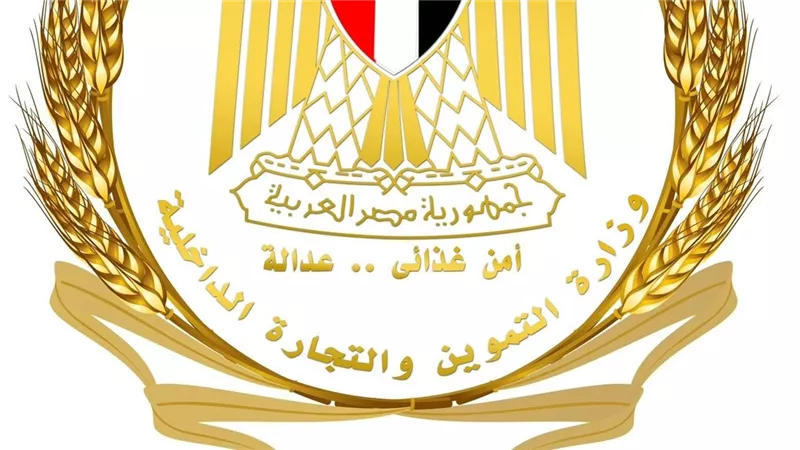 التموين تضبط 130 طن سلع مخالفة وتحبط تهريب أسطوانات بوتاجاز وسولار في 11محافظة