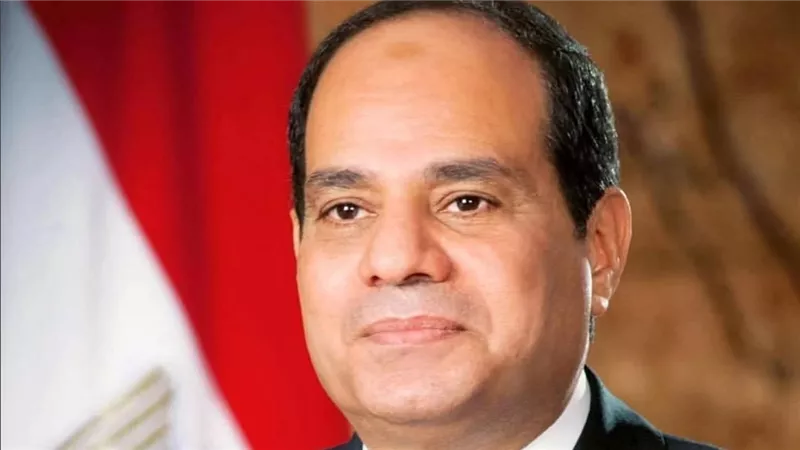 السيسي: إرادة سياسية مشتركة رفعت التعاون مع تنزانيا إلى مستويات غير مسبوقة