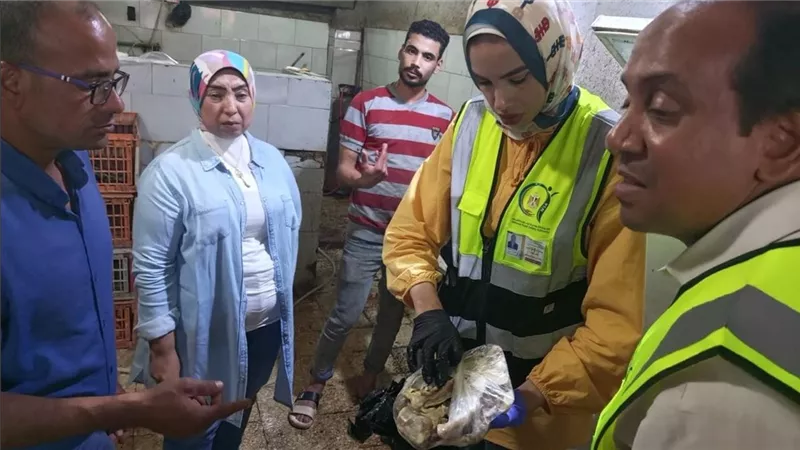 سلامة الغذاء: إعدام أغذية فاسدة وتحرير 5 محاضر ضبط خلال حملة موسعة بالقليوبية
