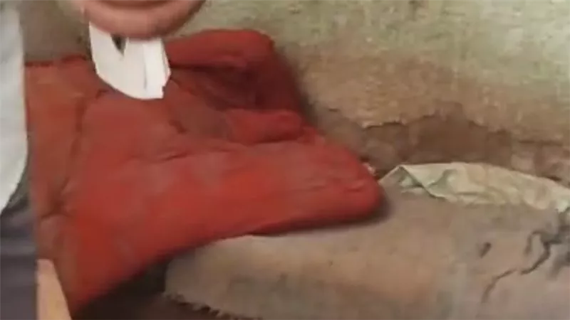 الحكم بالبراءة للمتهمين فى قضية التنقيب عن الآثار داخل منشأة صحية بقنا