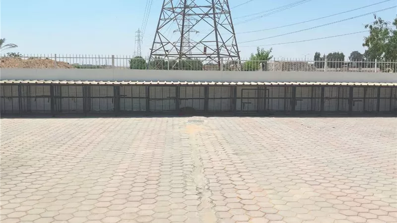 وزارة الإسكان تشن حملات مكثفة لمواجهة الكلاب الضالة بالمدن الجديدة