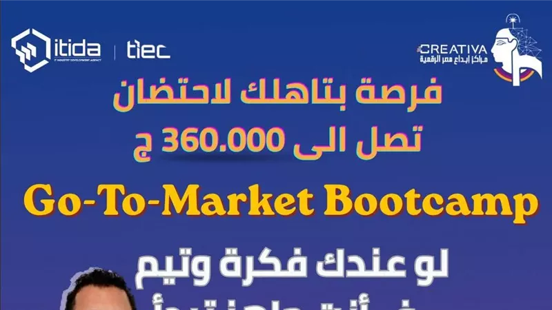 محافظة بورسعيد تعلن عن برنامج تدريبي مجاني لطلاب الجامعة 