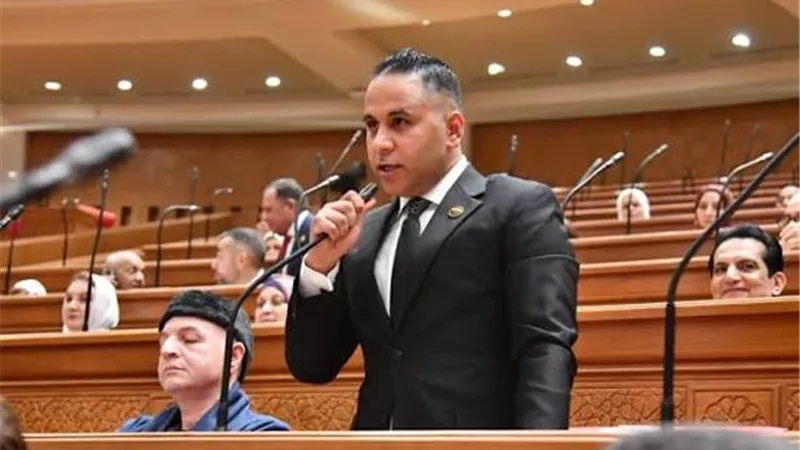 إبراهيم مجدي حسين: التأمينات تتعهد بإنهاء أزمة تأخر المعاشات وتعويض المتضررين