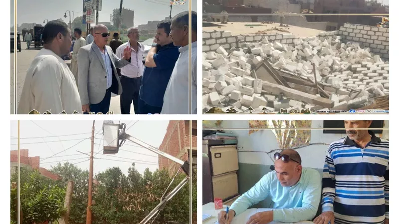 بنى سويف: نقل 11 كلبا ضالا للشلاتر واستمرار حملات إزالة التعديات وطرق الأبواب 