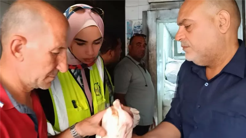 ضبط لحوم ودواجن غير صالحة للاستهلاك الآدمى خلال حملة مكبرة بالقليوبية 