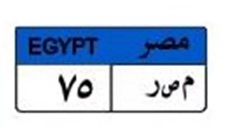 بـ550 ألف جنيه.. صراع ثنائي على لوحة السيارة «مصر 75»