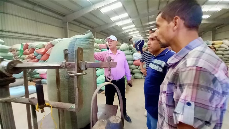 محافظ أسيوط: استقبال 241 ألف طن من القمح المحلي منذ بدء موسم التوريد 2026 