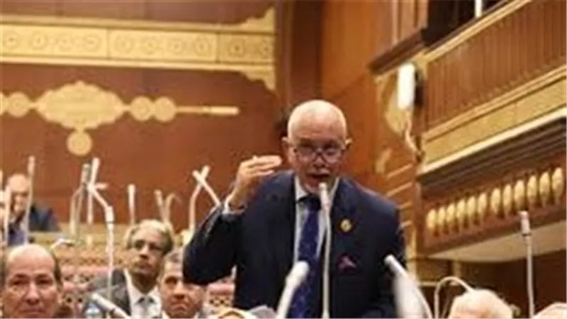 النائب حازم الجندي يشيد بإطلاق صندوقين استثماريين لدعم القطاع الصناعي