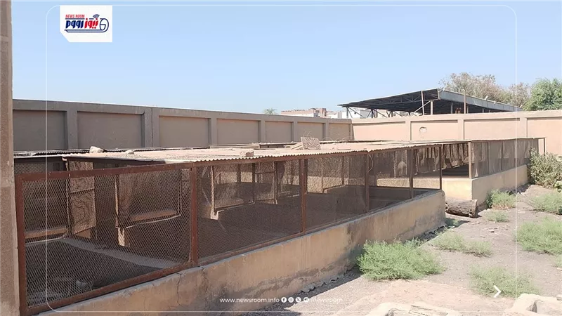 سمالوط تتجه لإنشاء مأوى للكلاب الضالة لحماية المواطنين وتنظيم التعامل بالمنيا