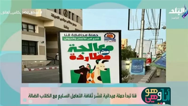محافظة قنا تطلق حملة ميدانية لنشر ثقافة التعامل السليم مع الكلاب الضالة