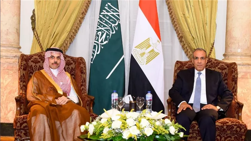 وزيرا خارجية مصر والسعودية يناقشان تطورات القضية الفلسطينية والملف الإيراني 