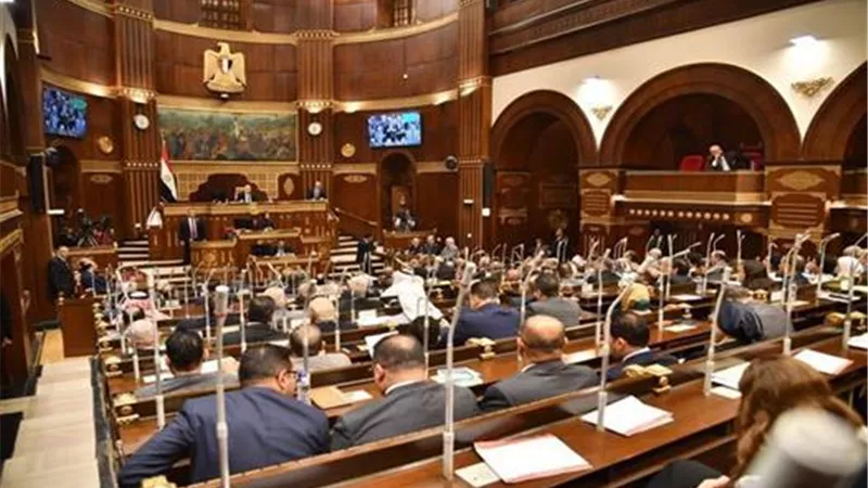 غدا.. إسكان الشيوخ تناقش أزمات الطريق الزراعى والصرف الصحى بالغربية