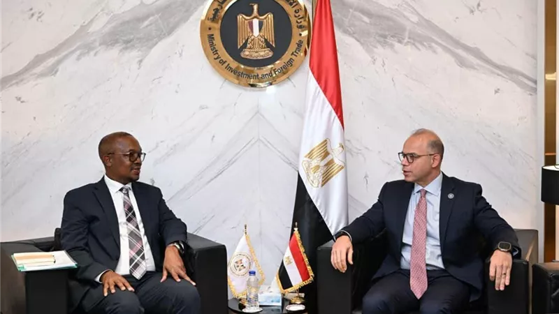 مصر وجنوب أفريقيا تبحثان تعزيز التكامل الاقتصادي والتصنيع المشترك