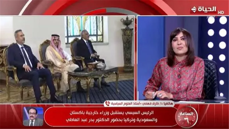 خبير: مقترح السيسي بـ 