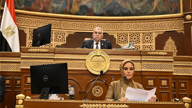 نائبة تستعرض تقريرًا بشان دراسة قياس الأثر التشريعي لقانون الشركات