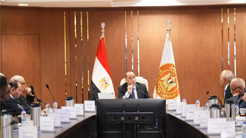 وزير العمل: 2.557 مليار جنيه دعمًا لـ441 ألف عامل عبر صندوق الطوارئ