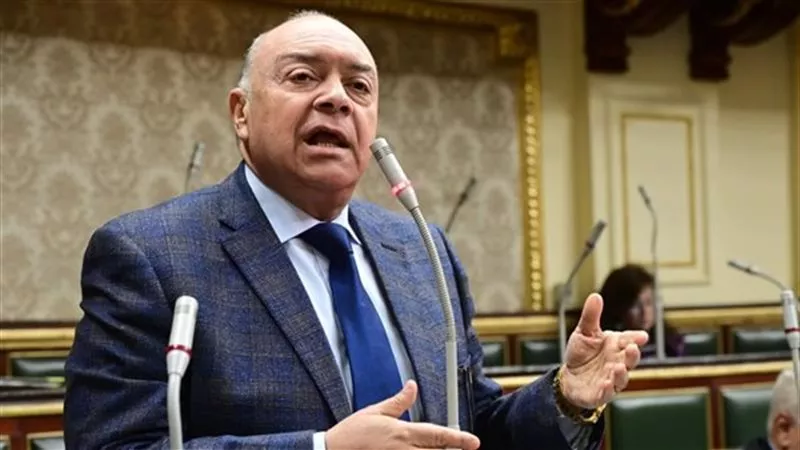 نائب: زيادة المرتبات تُلتهم بسبب الأسعار ونحتاج مراجعة دورية للأجور والمعاشات