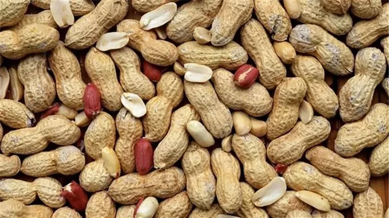 بعد ضبطه في الفول السوداني.. ما هي مادة التارترازين ومدى خطورتها؟