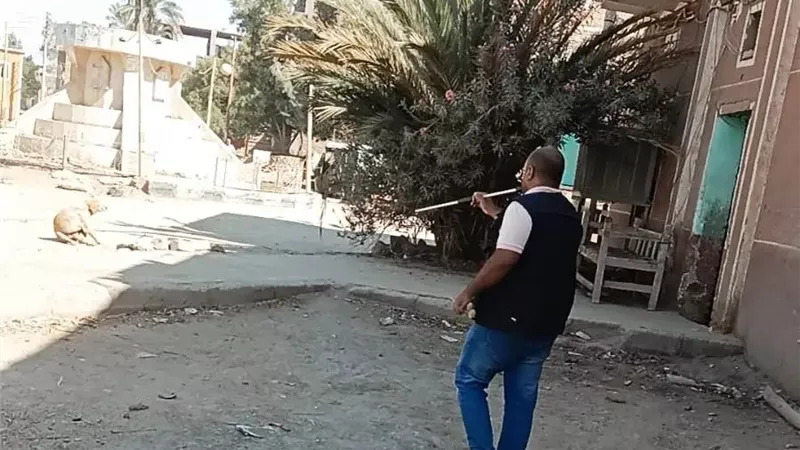 استمرار حملات تحصين الكلاب الحرة لحماية المواطنين والحد من الأمراض بأسوان 