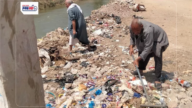 حملات للنظافة ورفع الإشغالات وتجميل الشوارع بمركزي الفيوم ويوسف الصديق