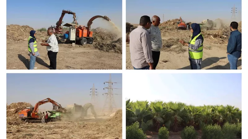محافظ بنى سويف يُثني على جهود تعظيم العائد البيئي والاقتصادي الغابة الشجرية