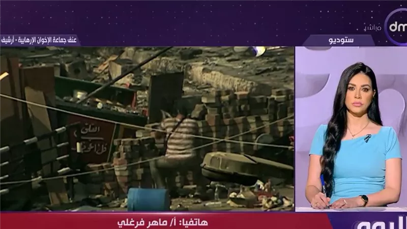 ماهر فرغلي: ثورة 30 يونيو نقطة تحول حافظت على ثوابت الدولة المصرية