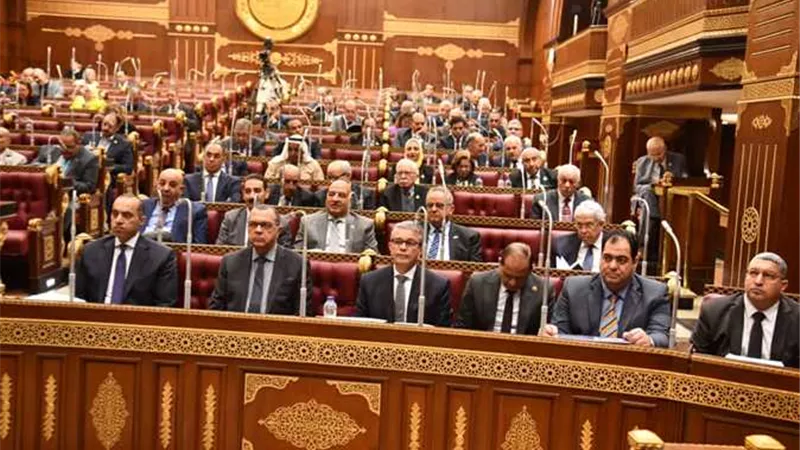 مجلس الشيوخ يناقش تحديات المشروعات الصغيرة والمتوسطة وآليات الدعم