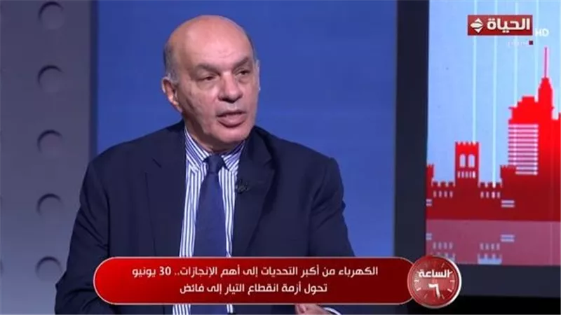 سلماوي: سعر الطاقة مرتبط بالسياسية.. وتطوير محطات الكهرباء وفر 27% من الوقود