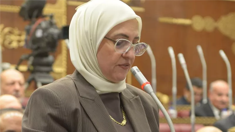 برلمانية تطالب وزير الصناعة بتيسير التراخيص ودعم تسويق المشروعات الصغيرة