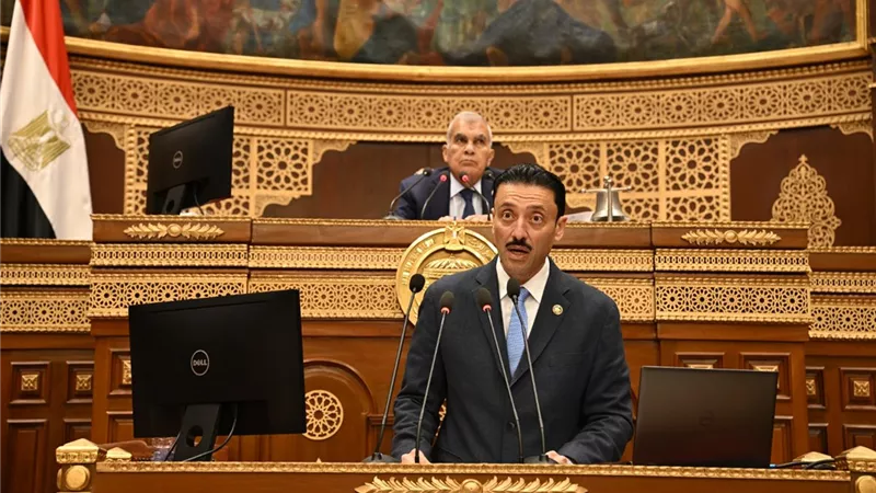 محمد رزق: 3.74 مليون مشروع صغير ومتوسط توفر 5.8 مليون فرصة عمل في مصر