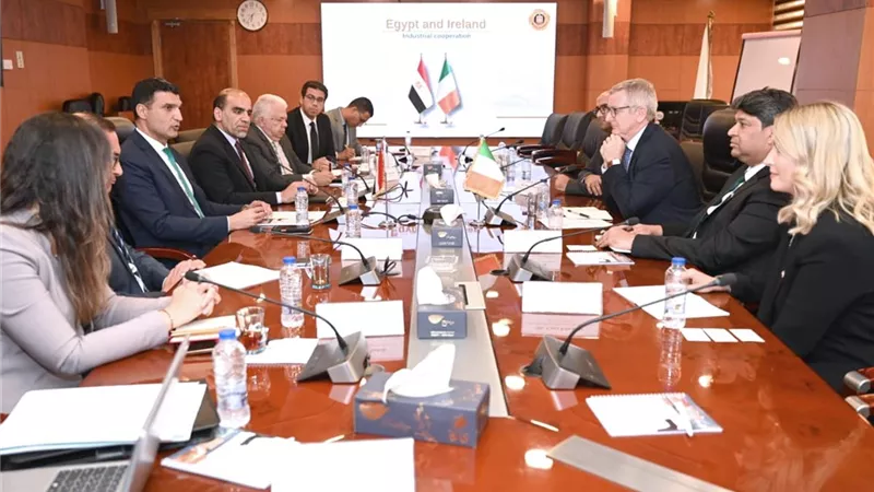 وزير الصناعة يبحث مع سفير أيرلندا تعزيز الشراكة الاستثمارية