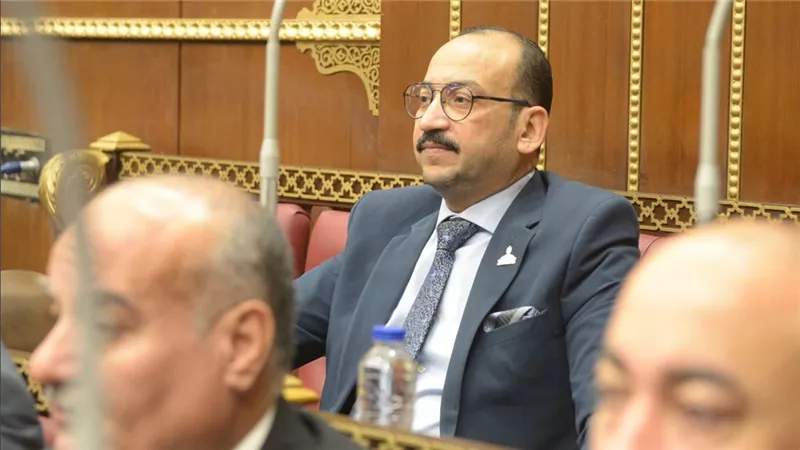 عضو صناعة الشيوخ: تعميق التصنيع المحلي أولوية لدعم الاقتصاد الوطني